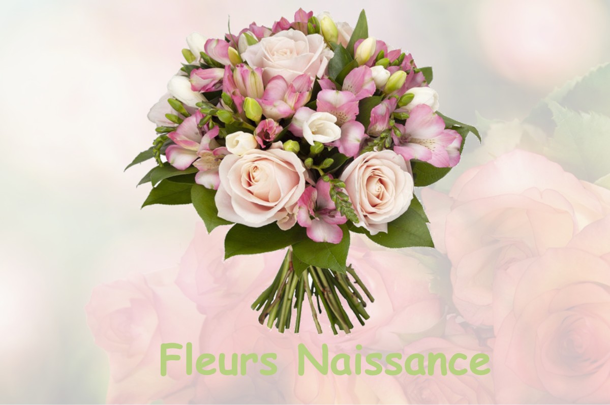 fleurs naissance BREZINS