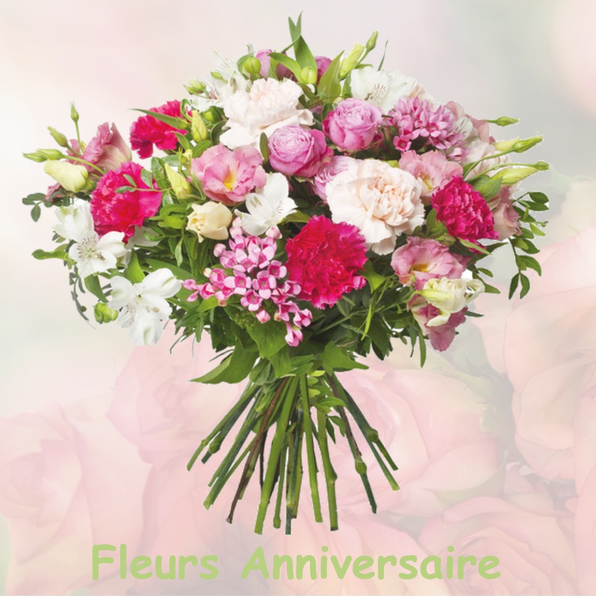 fleurs anniversaire BREZINS