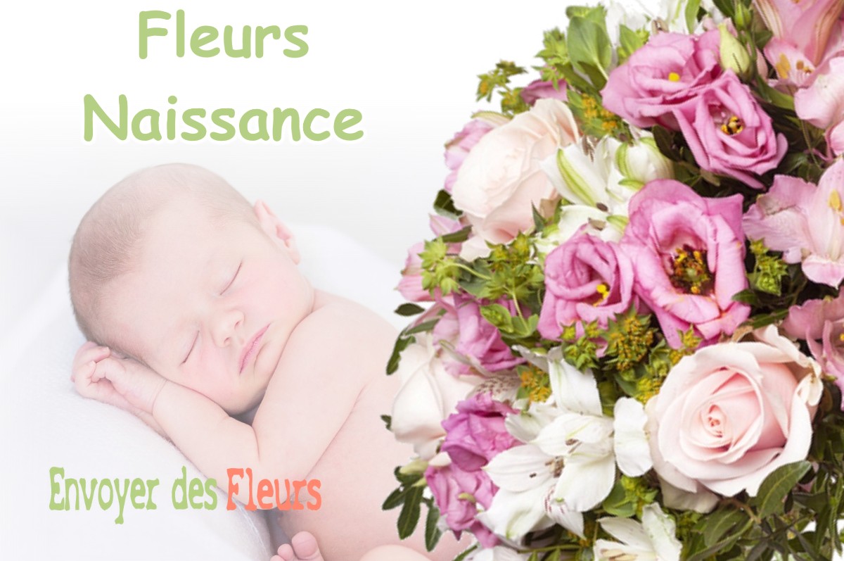 lIVRAISON FLEURS NAISSANCE à BREZINS